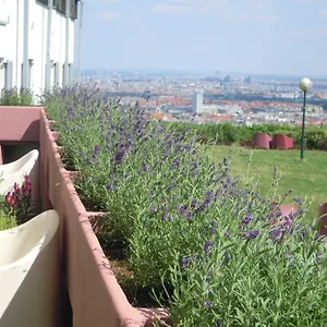 Hostel Palace, Wenen